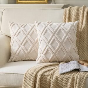 cusion pillow cover