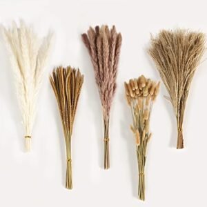 Dried pampas grass decor