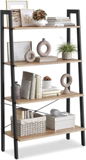 ladder bookshelf1